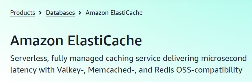 ElastiCache mic drop moment