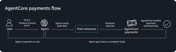Amazon Bedrock AgentCore payments - Solving the microtransaction problem